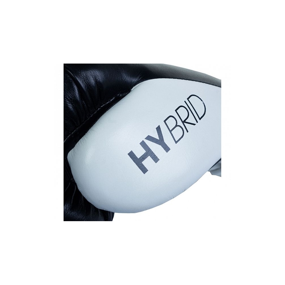 Hybrid 200