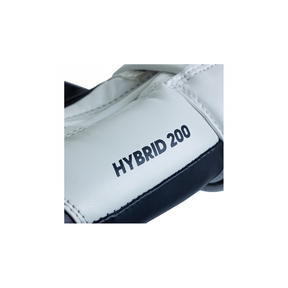 Hybrid 200