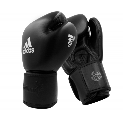 Muay Thai Gloves 200