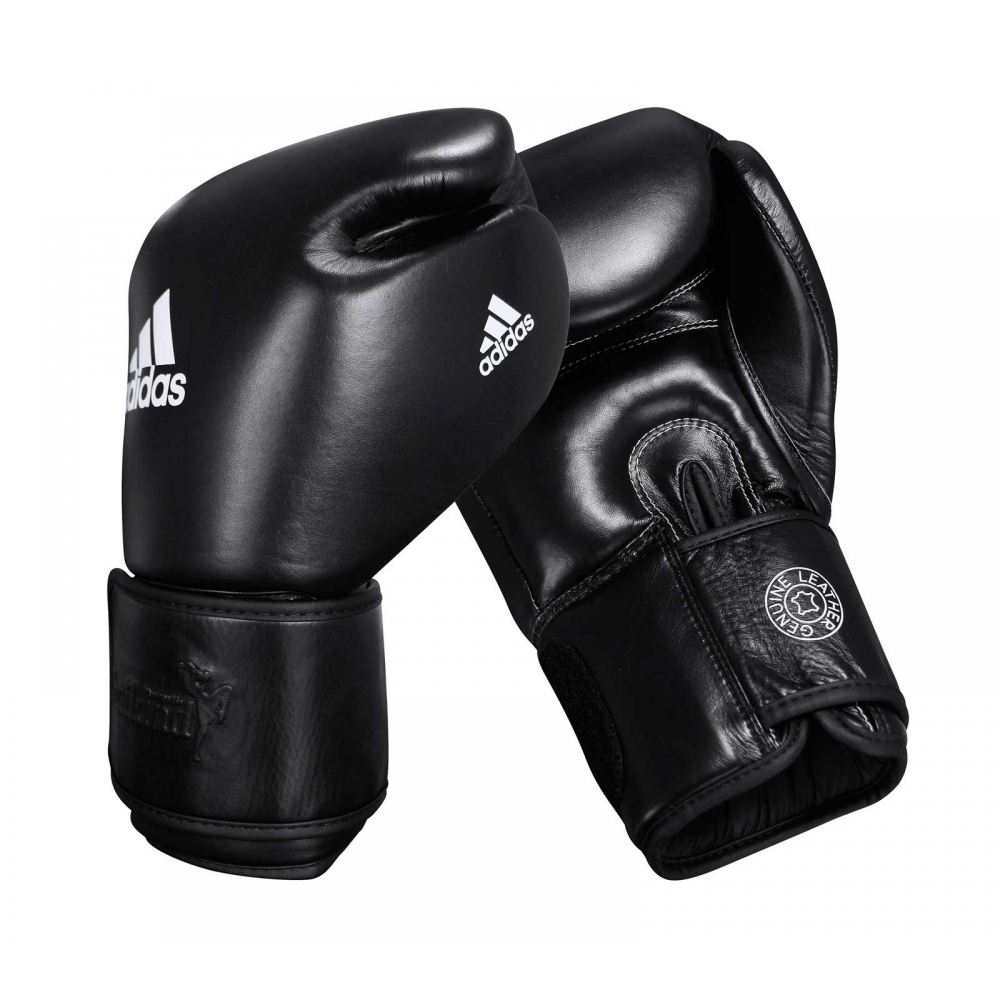 Muay Thai Gloves 300