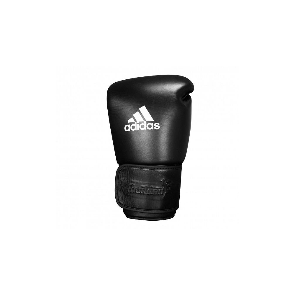 Muay Thai Gloves 300